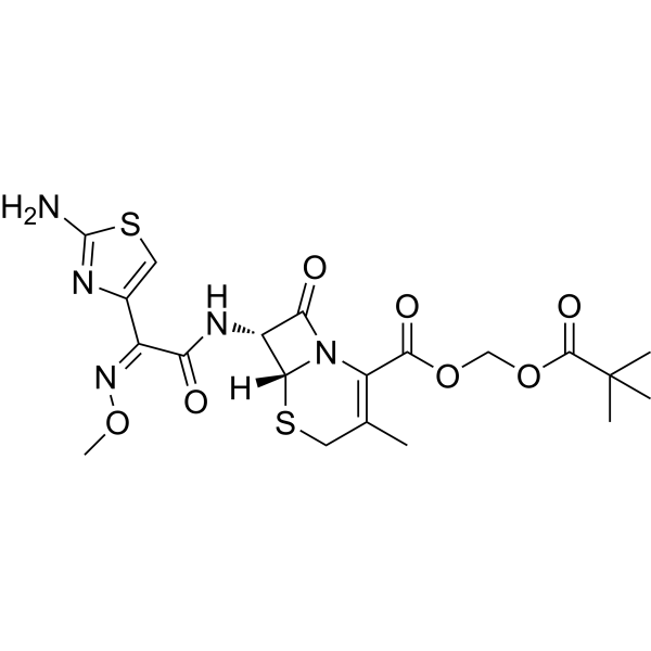 Cefetamet pivoxyl (Ro 15-8075 free base) 65243-33-6